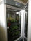 Инкубатор коробки выращивания растения машины прорастания семени искусственного климата камеры выращивания растения